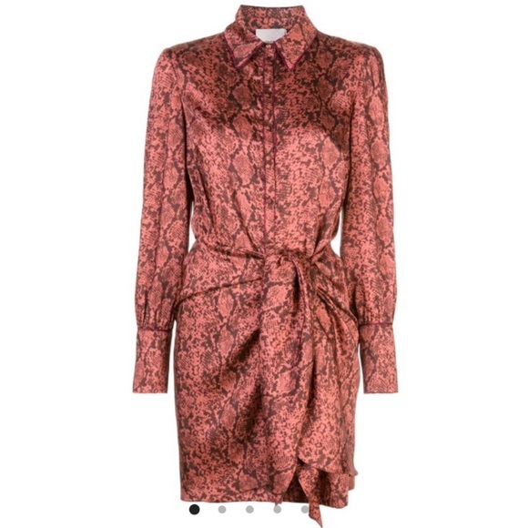 Cinq A Sept | Gaby Python Rosewood Shirt Dress 0 - Picture 7 of 16